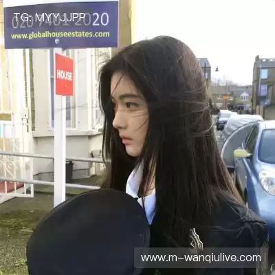 段俪剑